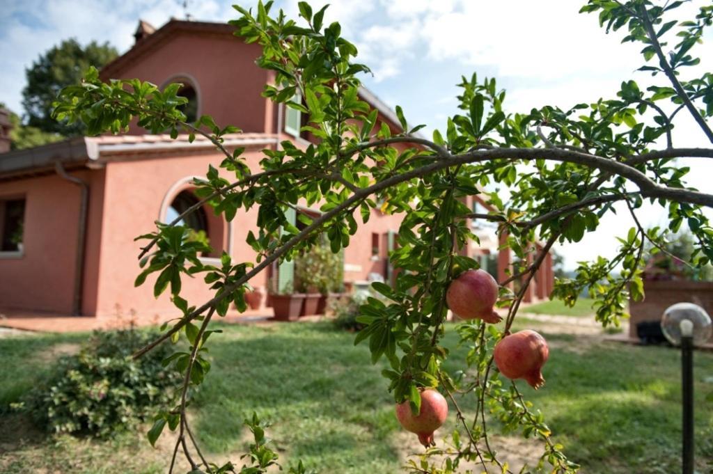 Podere Chiaromonte ปาลายา ภายนอก รูปภาพ
